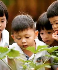 Learning Vision @ Biopolis