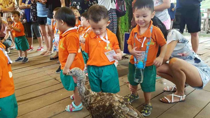 Little Petals Preschool