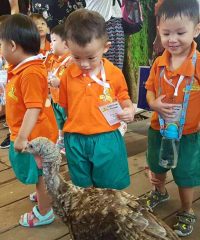 Little Petals Preschool