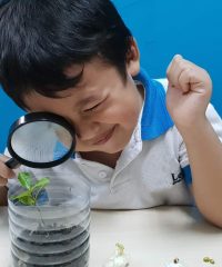 Lories N Berries Preschool (Jurong West)