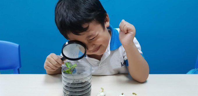 Lories N Berries Preschool (Jurong West)