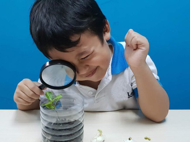 Lories N Berries Preschool (Jurong West)