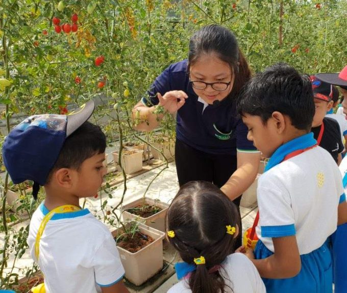 Lories N Berries Preschool (NEWest)
