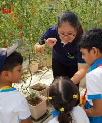 Lories N Berries Preschool (NEWest)