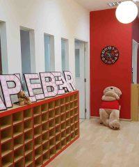 Maple Bear Rochester