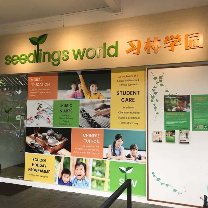 Seedlings World